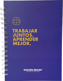 Agenda Golden Brain